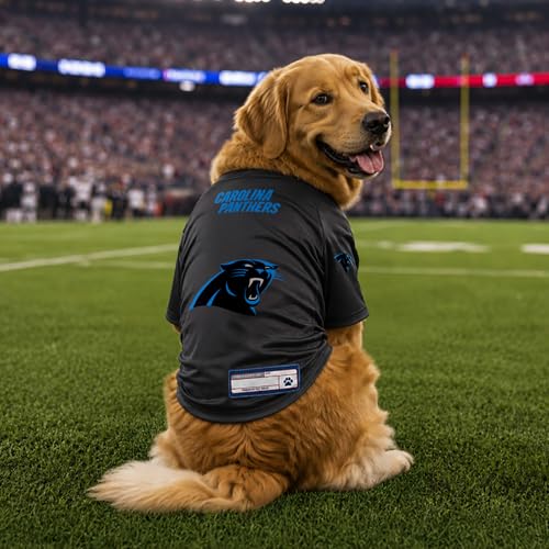 NFL Carolina Panthers Stretch Pet Jersey (Carolina Panthers / Medium)