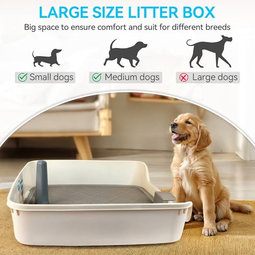 Dog Potty Tray