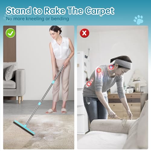 Carpet Rake 60" Long Handle (Blue / PRO Combo 3)
