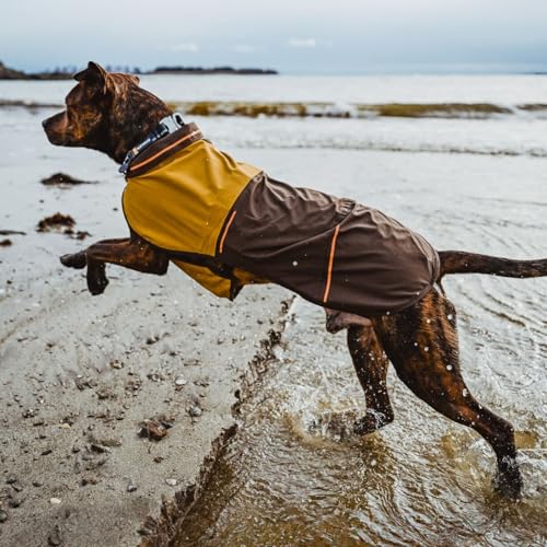 Sun Shower Dog Raincoat (Midnight Blue / Medium)