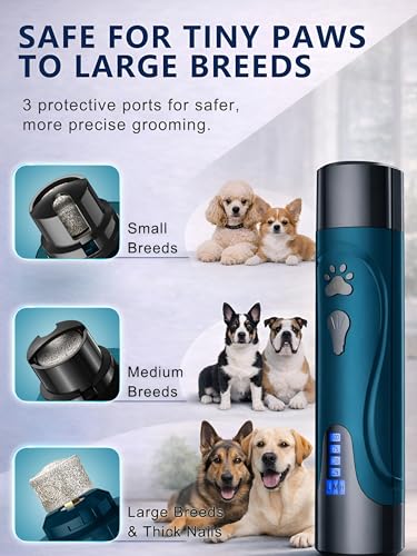 Super Quiet Dog Nail Grinder & Clippers Kit with 2 LED Lights (A-Blue)
