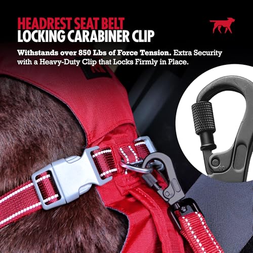 Dog Seat Belt for Car Headrest (Red)