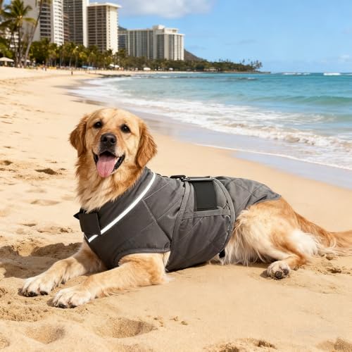 Weighted Dog Vest (Grey / X-Large)