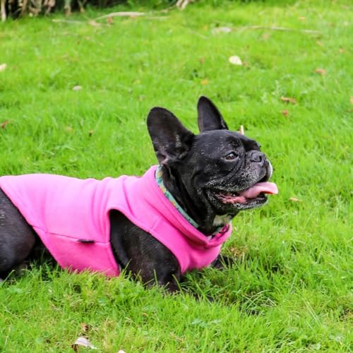 Dog Fleece Vest Sweater with Leash Ring (XL (17-25lbs) / Pink)