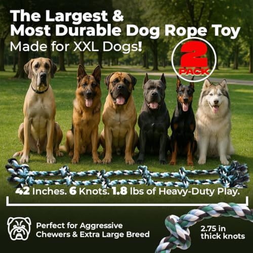 Giant Dog Rope Toy for XL Dog (Green / 2 Pack)