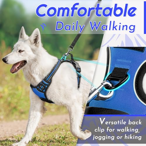 Dog Harness for Large Dogs (X-large / Blue)