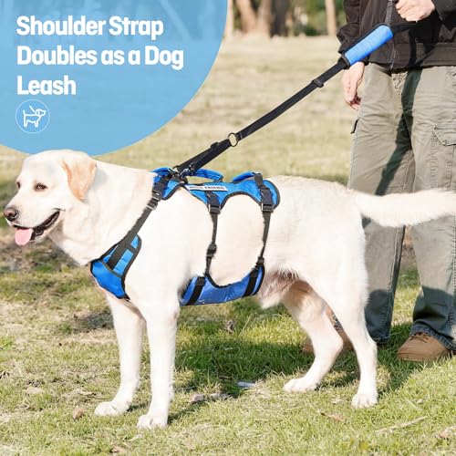 Dog Lift Harness for Medium Dogs (Blue / Medium)