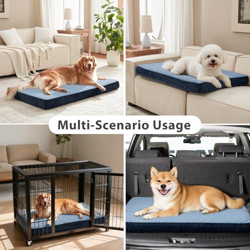 Orthopedic Dog Bed for Small Dogs (S(23"x17") / Blue)