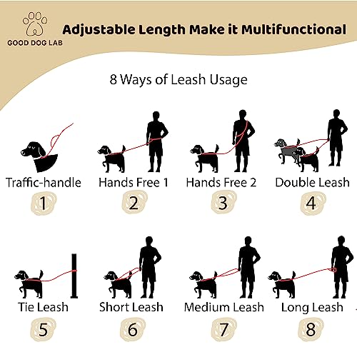 Heavy Duty Hands Free Dog Leash for Medium to Large Dogs for Comfortable Running (Beige)