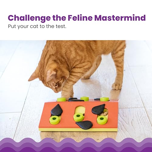 Nina Ottosson Melon Madness Puzzle & Play Cat Toy (Melon Madness / Treat Puzzle)