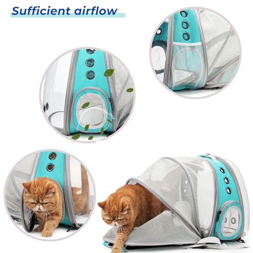 Cat Carrier Backpack (Back Expandable-Green)