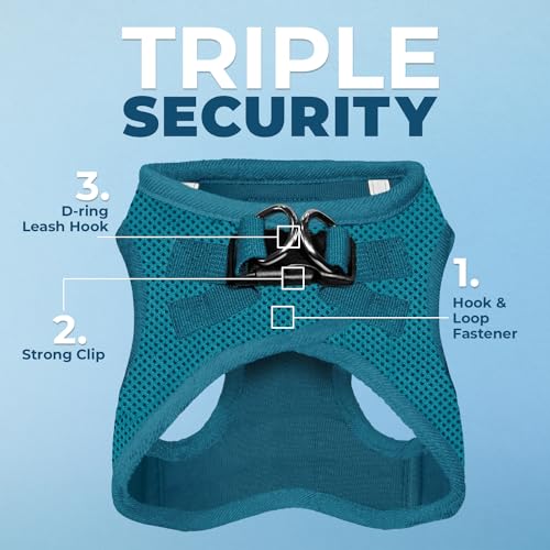 Voyager Step in Air All Weather Mesh Harness and Reflective Dog 5ft Leash Combo with Neoprene Handle (Harness Leash Set (Turquoise) / XS (Chest: 13 - 14.5"))