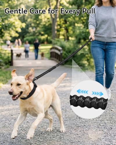 Tactical Bungee Dog Leash (Black)
