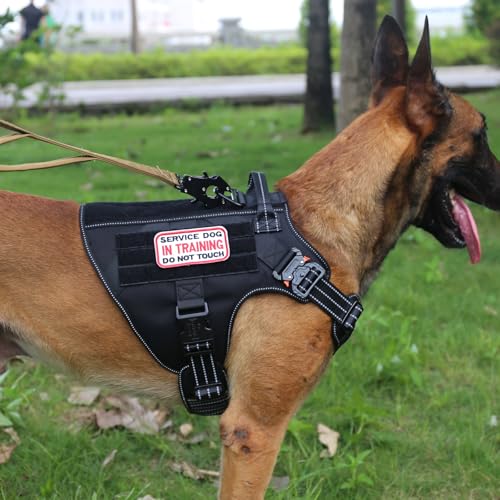 Tactical Dog Harness for Large Dogs (Large (Pack of 1) / Black)