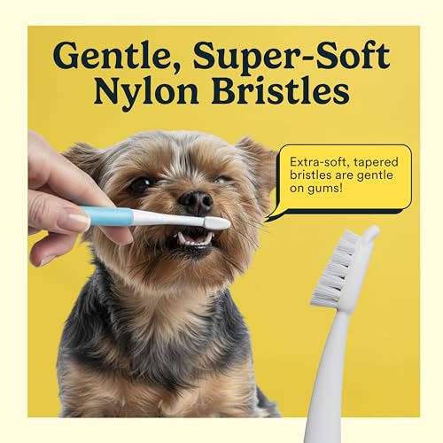 Microbrush Vet Approved Cat Toothbrush (Rose Pink 2 Pack)