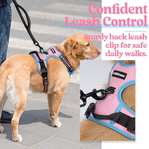 Dog Harness No Pull for Large Dogs with 2 Leash Clips (Large / Pink & Blue)