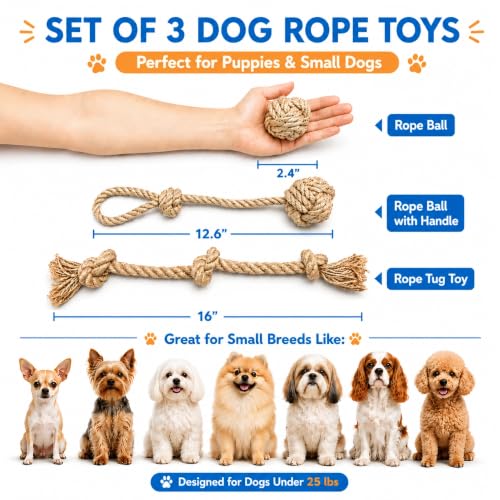 Dog Rope Toys for Small Dogs