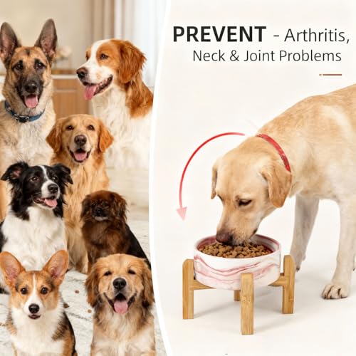 Elevated Raised Ceramic Dog Bowl with Bamboo Stand (Marble Pink / Large)