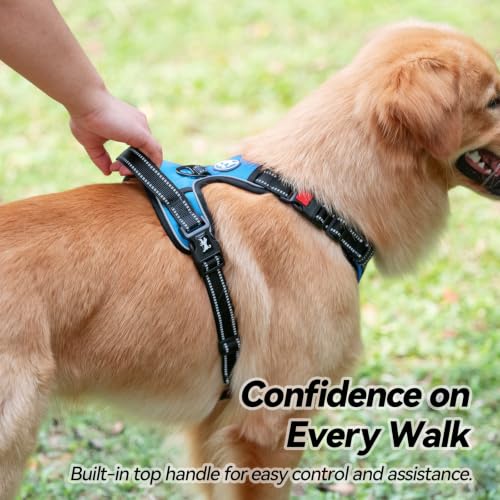 No Pull Dog Harness Large with Front Clip & Neck Release Buckle (XL / Blue)
