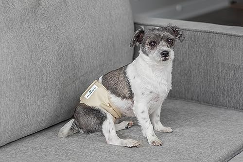 Washable Belly Bands for Male Dogs (Small (13-16") / Spruce)