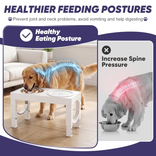 Elevated Dog Bowls Large Breed Raised Dogs Bowl Stand Large (B-White)