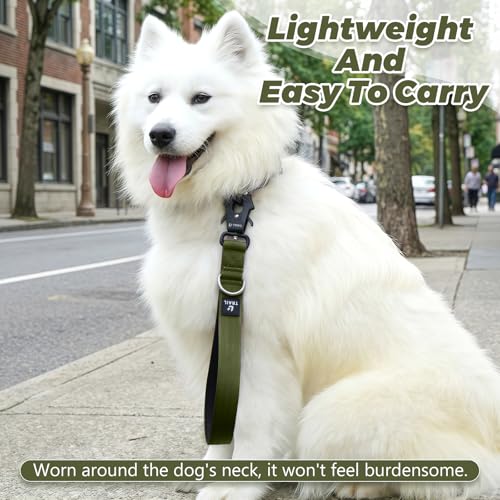 14 Inch Traffic Dog Leash with Padded Handle (Army Green)