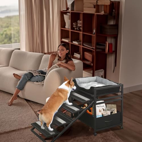 Pet Steps 2 in
