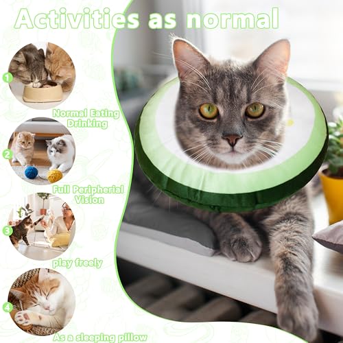 Cat Cone Collar Soft (Cucumber / Small)