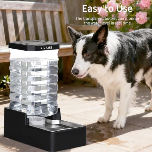 2.64 Gallon Dog Water Bowl Dispenser (Black with Lid & Filter / 10L)