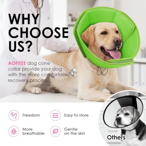 Dog Cones for Medium Dogs (Green / Medium)