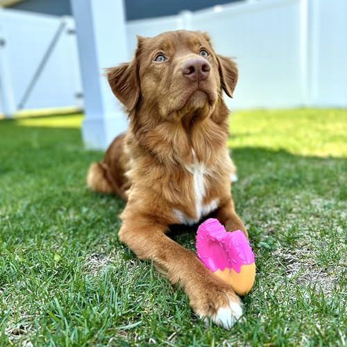Donut Power Chew Toy for Dogs (Donut 1 Pack / Large)