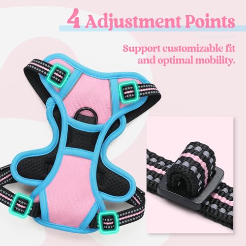 Dog Harness No Pull for Small Dogs with 2 Leash Clips (X-Small / Pink & Blue)