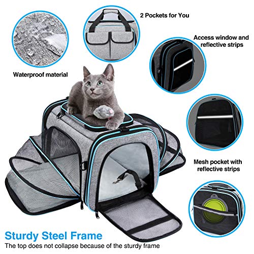 Airline Approved Pet Carrier