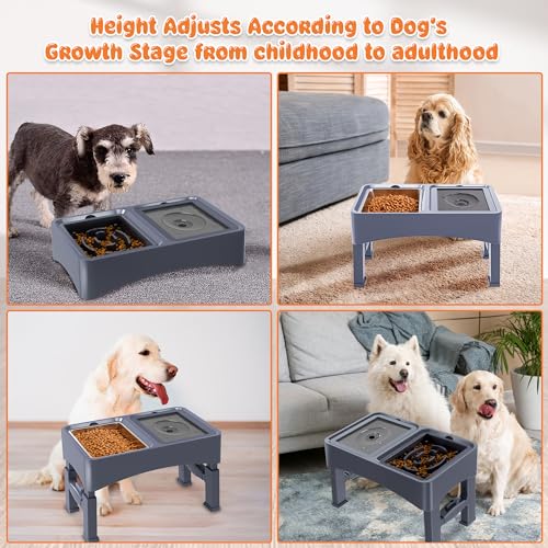 3-in-1 Elevated Dog Bowls with 4 Height Adjustable Raised Stand (Blue)