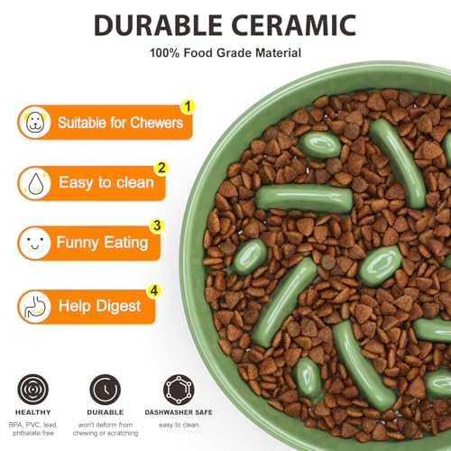 Ceramic Slow Feeder Dog Bowl (Maze - Green / 2 Cups)