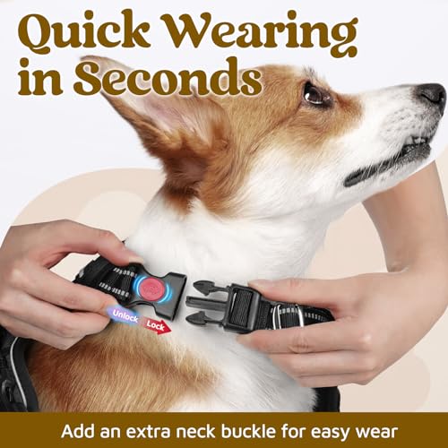 Dog Harness Medium Sized (Black / Medium)