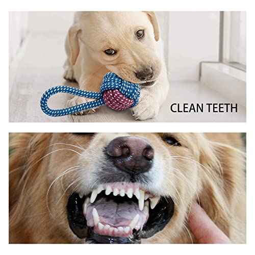 7 Pack Small Dog Toys