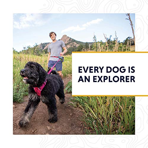 Front Range Dog Leash (Red Canyon / One Size)