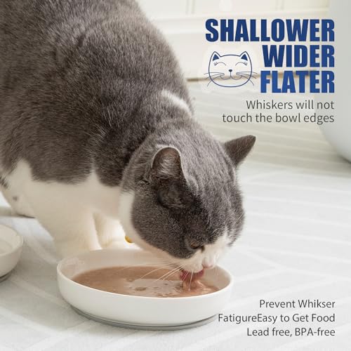 Shallow Wide Cat Food Bowls Anti Whisker Fatigue (Blue)