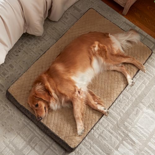 XL Dog Bed for Large Dogs up to 80 lbs (XL(41"x27") / Brown)