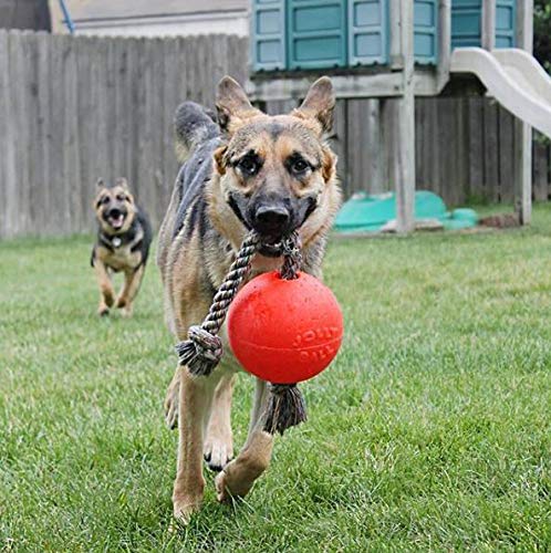 Romp-n-Roll Dog Toy, Orange, 6", Model Number: 788169060645 (Orange / Medium (6 in))