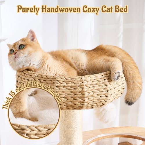Modern Cat Tree for Indoor Small & Medium Cats (Natural w/ Capsule-38")