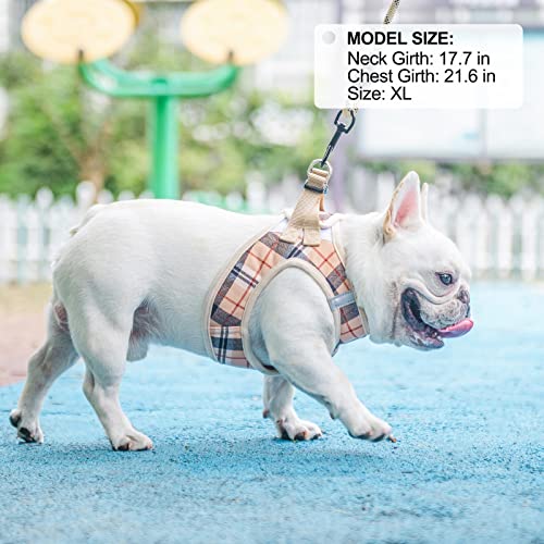 Dog Harness Medium Sized and Leash Set (Medium(Chest Girth 16" - 18") / Beige)