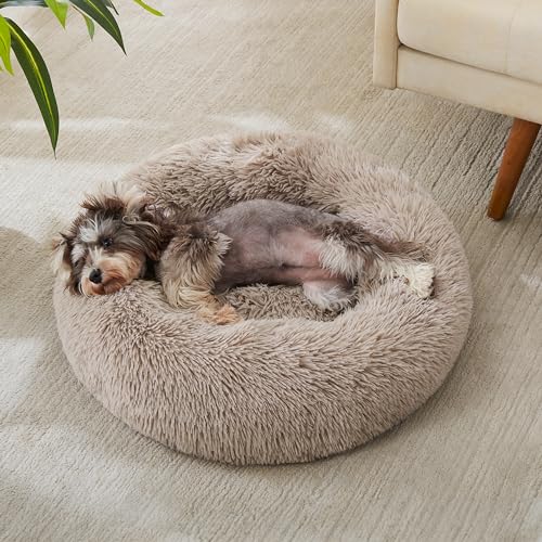 Western Home Calming Donut Small Dog Cat Bed Washable Puppy Bed (Brown / 24.0"l x 24.0"w x 7.0"th)