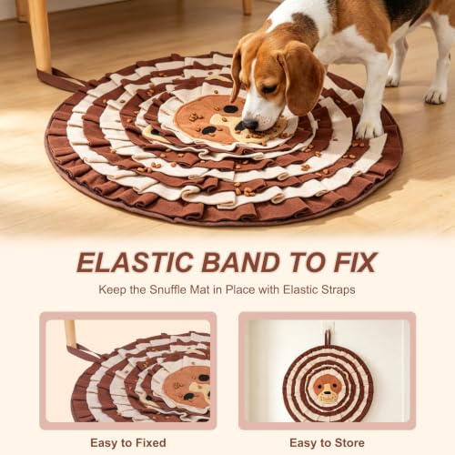 Snuffle Mat for Dogs (Lion)