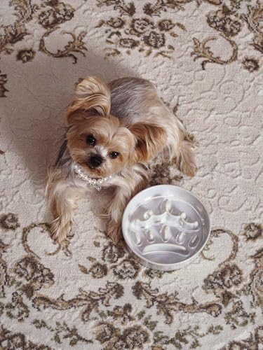 Ceramic Slow Feeder Dog Bowls Small Breed (Crown Silver / S-0.6 Cups)