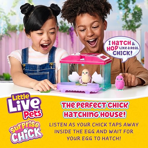 Toy Chicken Coop (Surprise Chick)