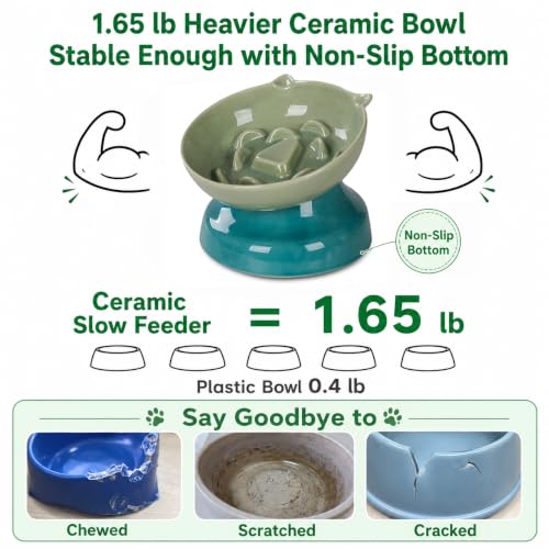 Ceramic Slow Feeder Cat Bowl (Green)