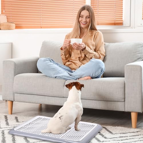 2 Pcs Dog Potty Tray (Gray / 19.7 x 14.2 Inch)
