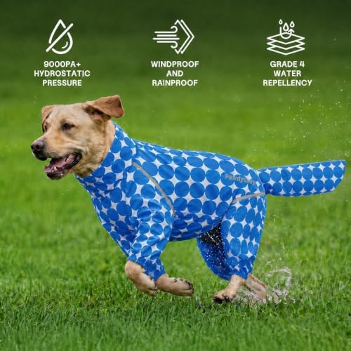 Polka Dot Dog Raincoat (Royal Blue / Medium)